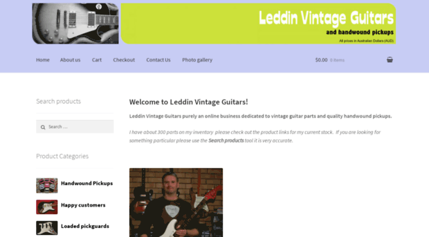 leddinvintageguitars.com