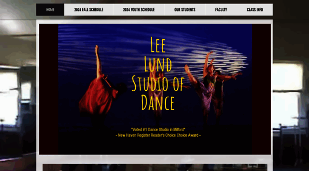 leelundstudioofdance.com