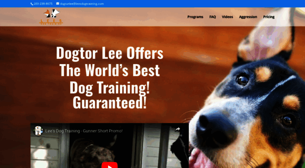 leesdogtraining.com