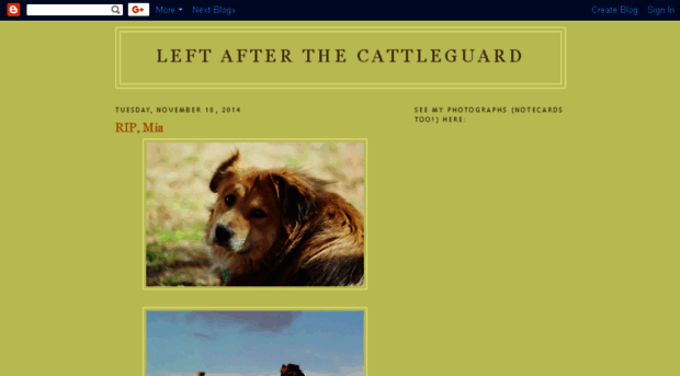 left-after-the-cattleguard.blogspot.com