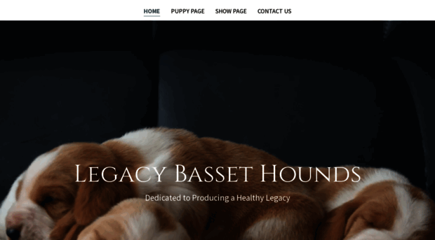 legacybassethound.com