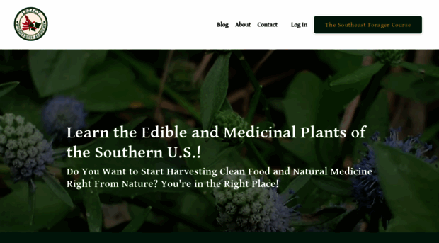 legacywildernessacademy.com