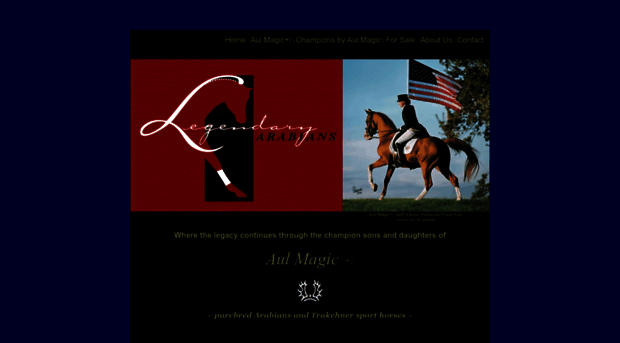 legendaryarabians.com