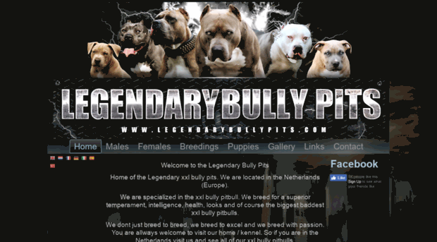 legendarybullypits.com