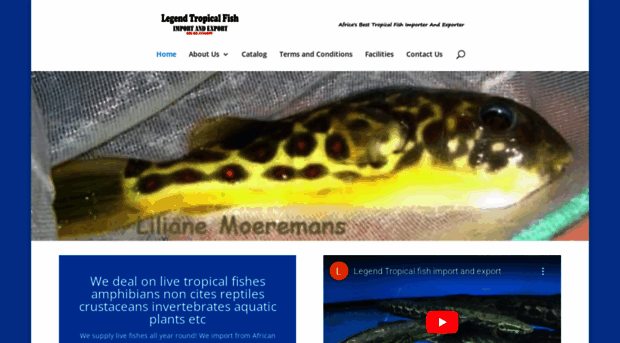 legendtropicalfish.com