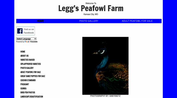 leggspeafowl.com