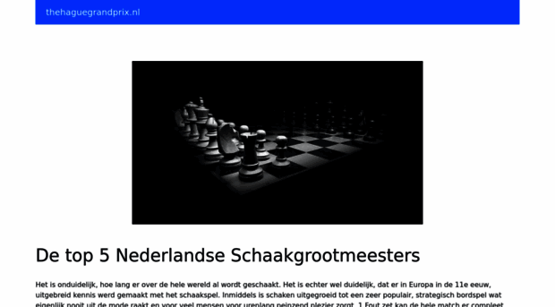 leidenchess.nl