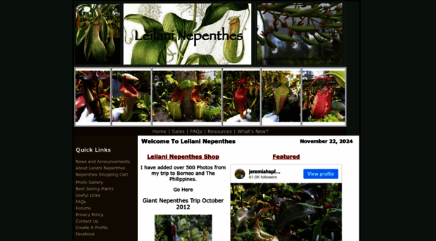 leilaninepenthes.com