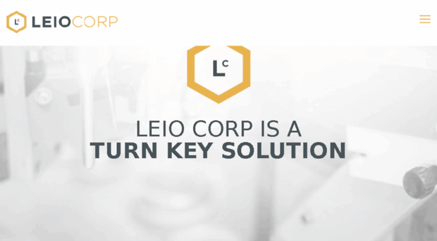 leiocorp.com