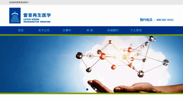 leiyingroup.com