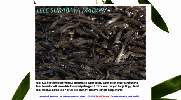 lelesurabayamadura.blogspot.com