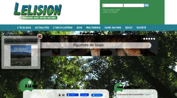 lelision.com