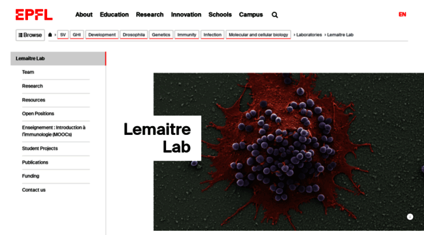 lemaitrelab.epfl.ch