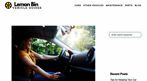 lemonbin.com