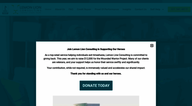 lemonlionconsulting.com