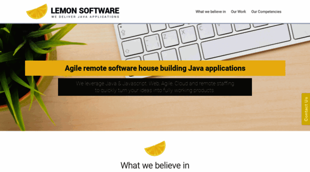 lemonsoftware.pl