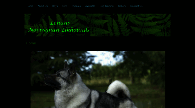 lenans.com