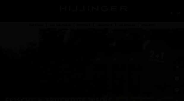 leo-hillinger.com