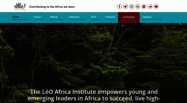 leoafricainstitute.org