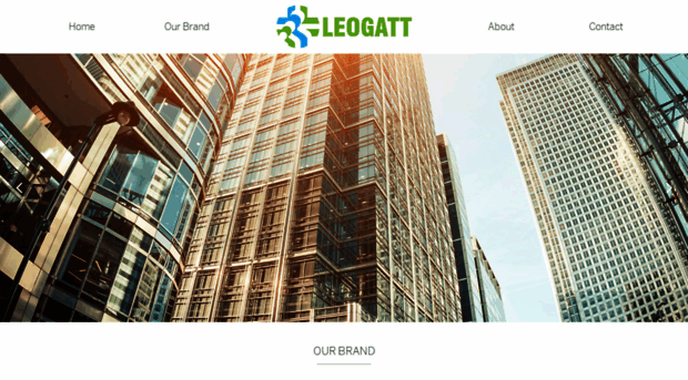 leogattgroup.com