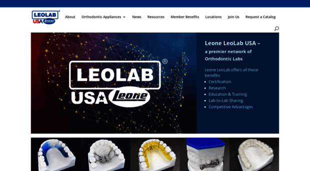 leolabusa.com