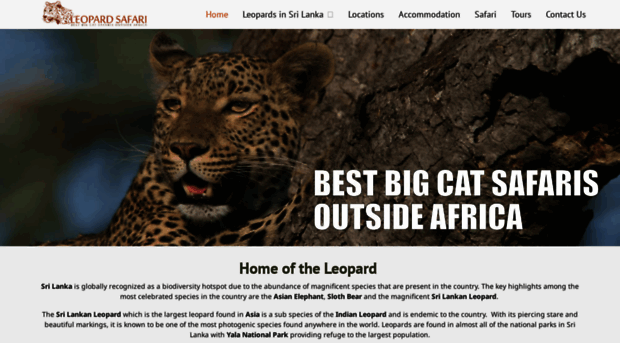 leopardsafari.com