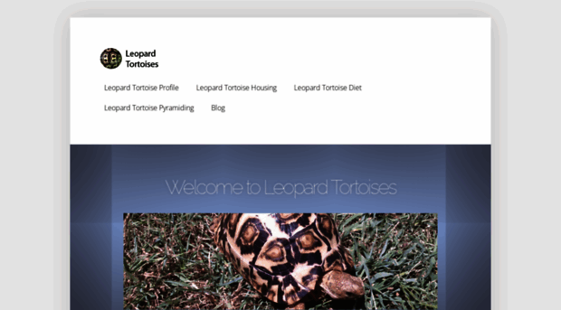 leopardtortoises.com