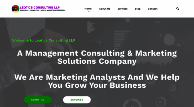 leoticsconsulting.com