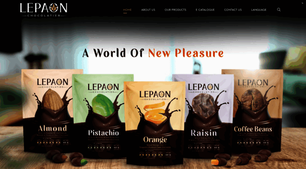 lepaon.com.tr