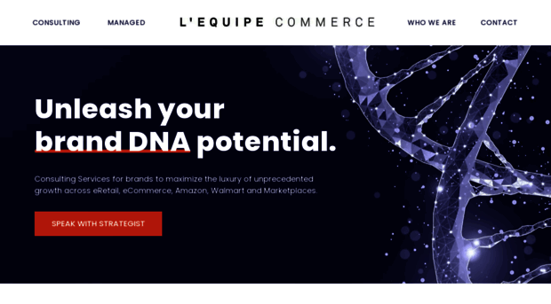 lequipecommerce.com