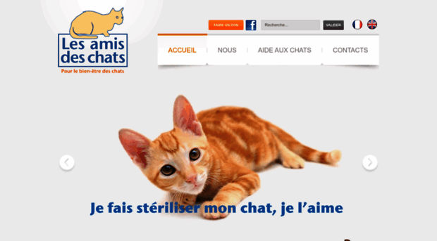 les-amis-des-chats.com