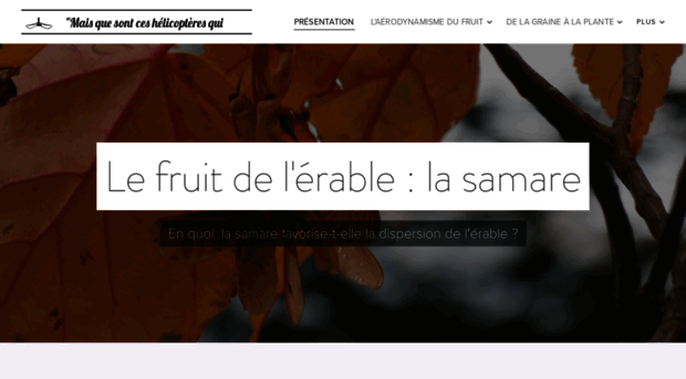 les-samares.webnode.fr
