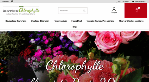 les-surprises-de-chlorophylle.com