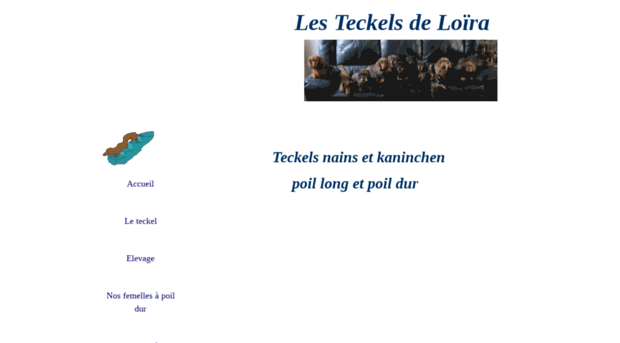 les-teckels-des-pres-de-loira.wifeo.com