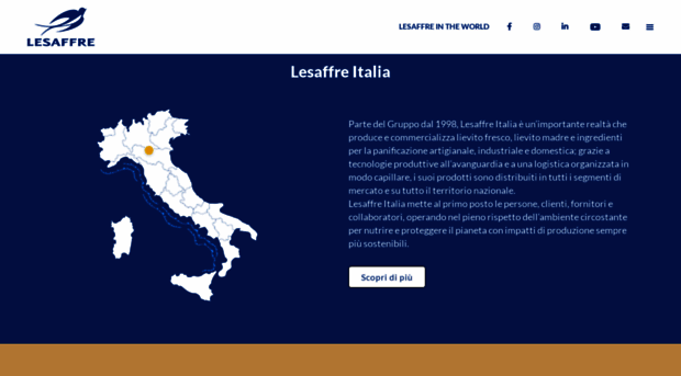 lesaffreitalia.it