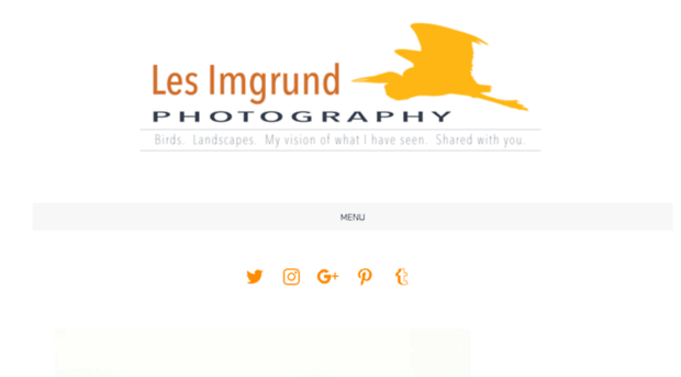 lesimgrundphotography.com