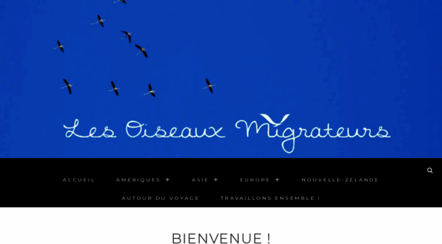 lesoiseauxmigrateurs.fr