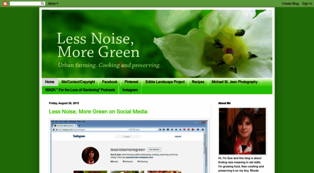 lessnoise-moregreen.com