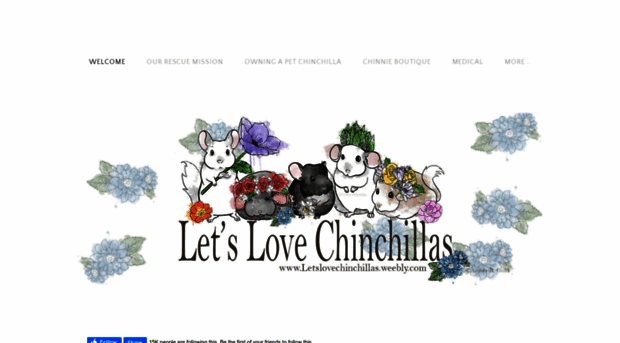 letslovechinchillas.weebly.com