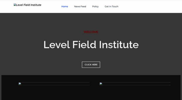 levelfieldinstitute.org