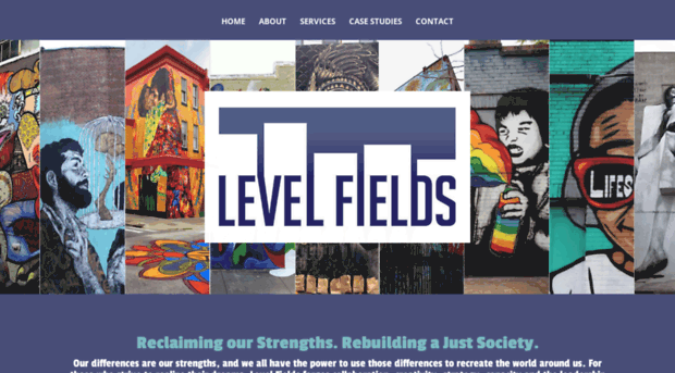 levelfieldsconsulting.com