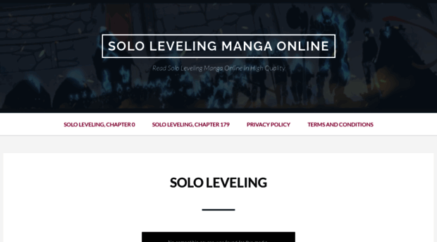 levelingsolo.com