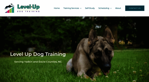 levelupdogtraining.com