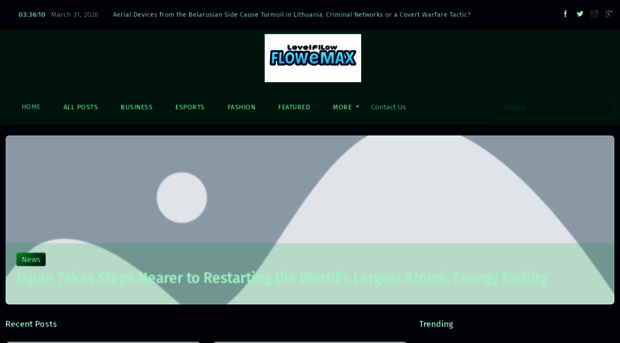 levelupflowzonemax.com