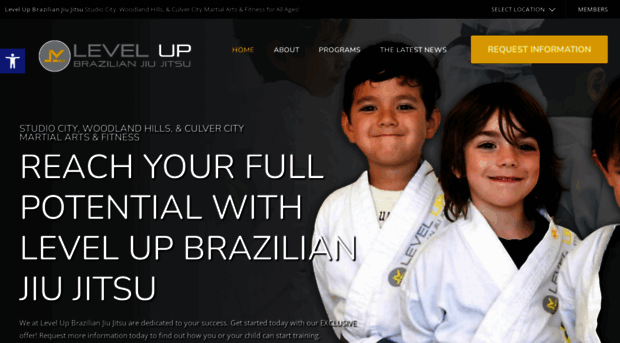 levelupjiujitsu.com