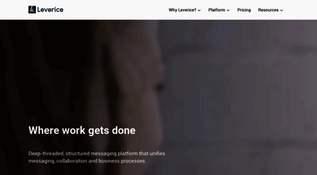 leverice.com