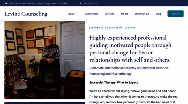levinecounseling.com