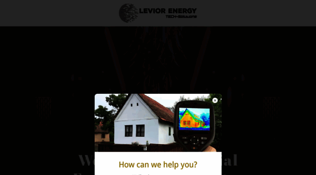 leviorgroup.com