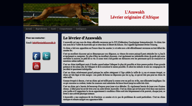 levrierdelazawakh.fr