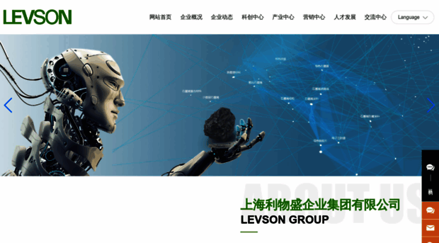 levsongroup.com